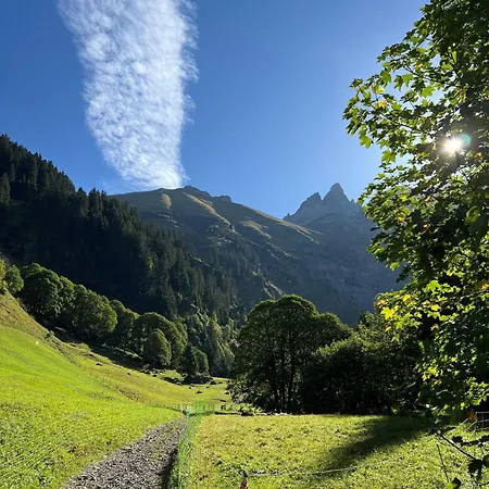 Traudi
