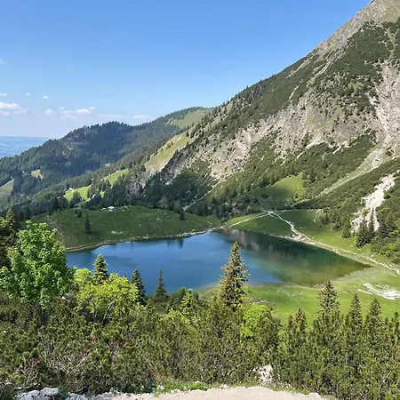 Traudi *